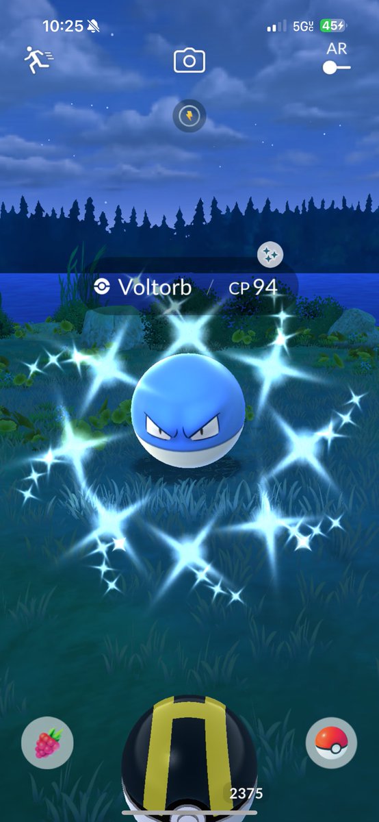 Omg 😱 just got blue balls again 😩 ✨ Voltorb 😍

#pokemongo #pokemon #gaymer #teaminstinct #shinyhunter #ShinyPokemon