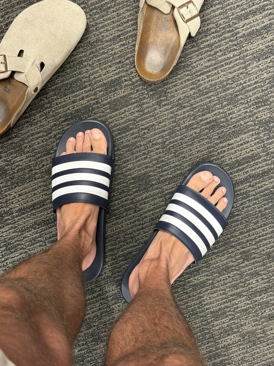 What you guys think of these