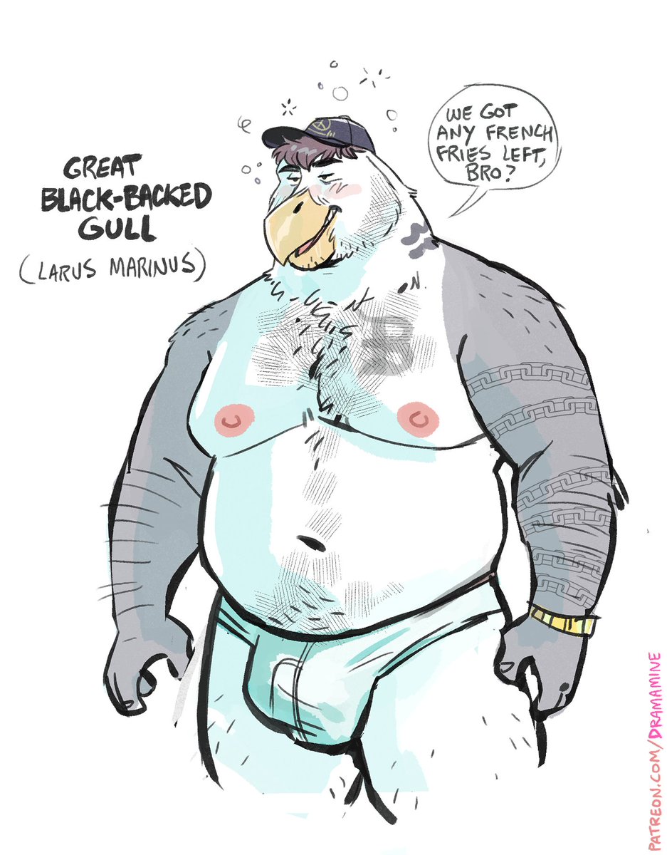 duncan, my insufferable townie birdsona