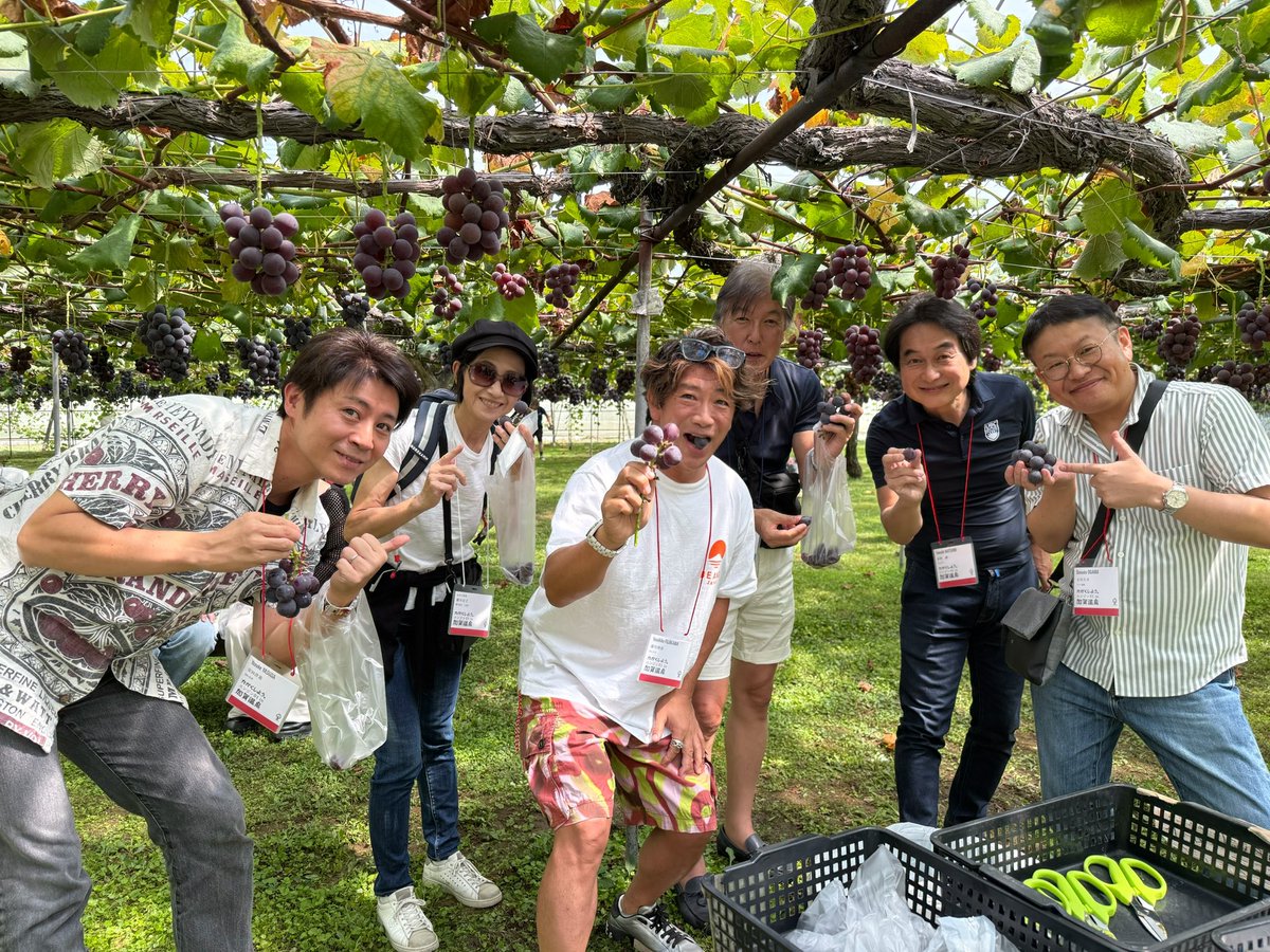 エンジン01 in加賀温泉。
まちなか講座のぶどう狩り！ブラックオリンピア食べ放題！移動の関係で10分しか時間がなかったけど、2房食べた。。
#エンジン01in加賀温泉 #ぶどう狩り #ブラックオリンピア