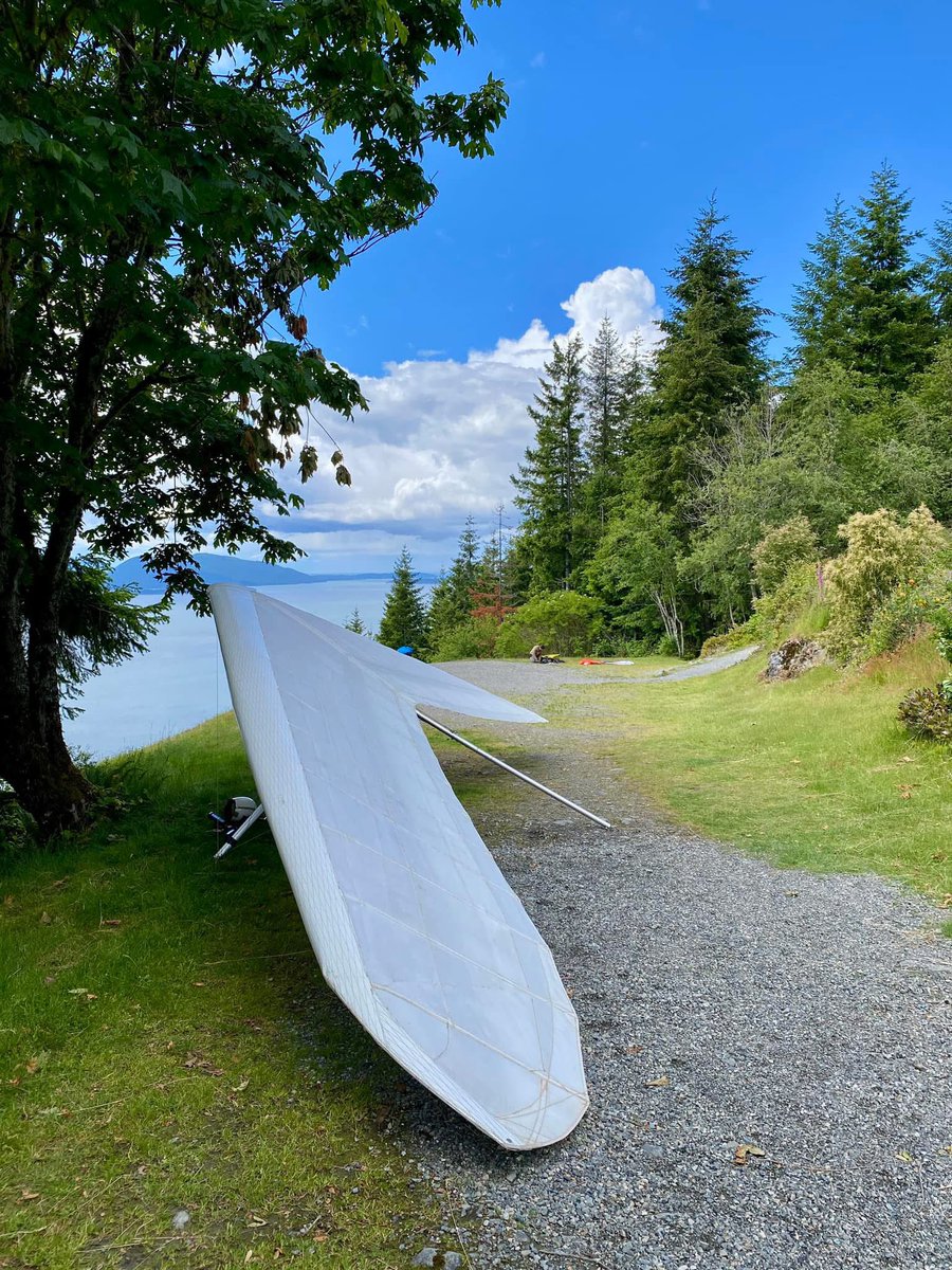 Eric Troili tweet media