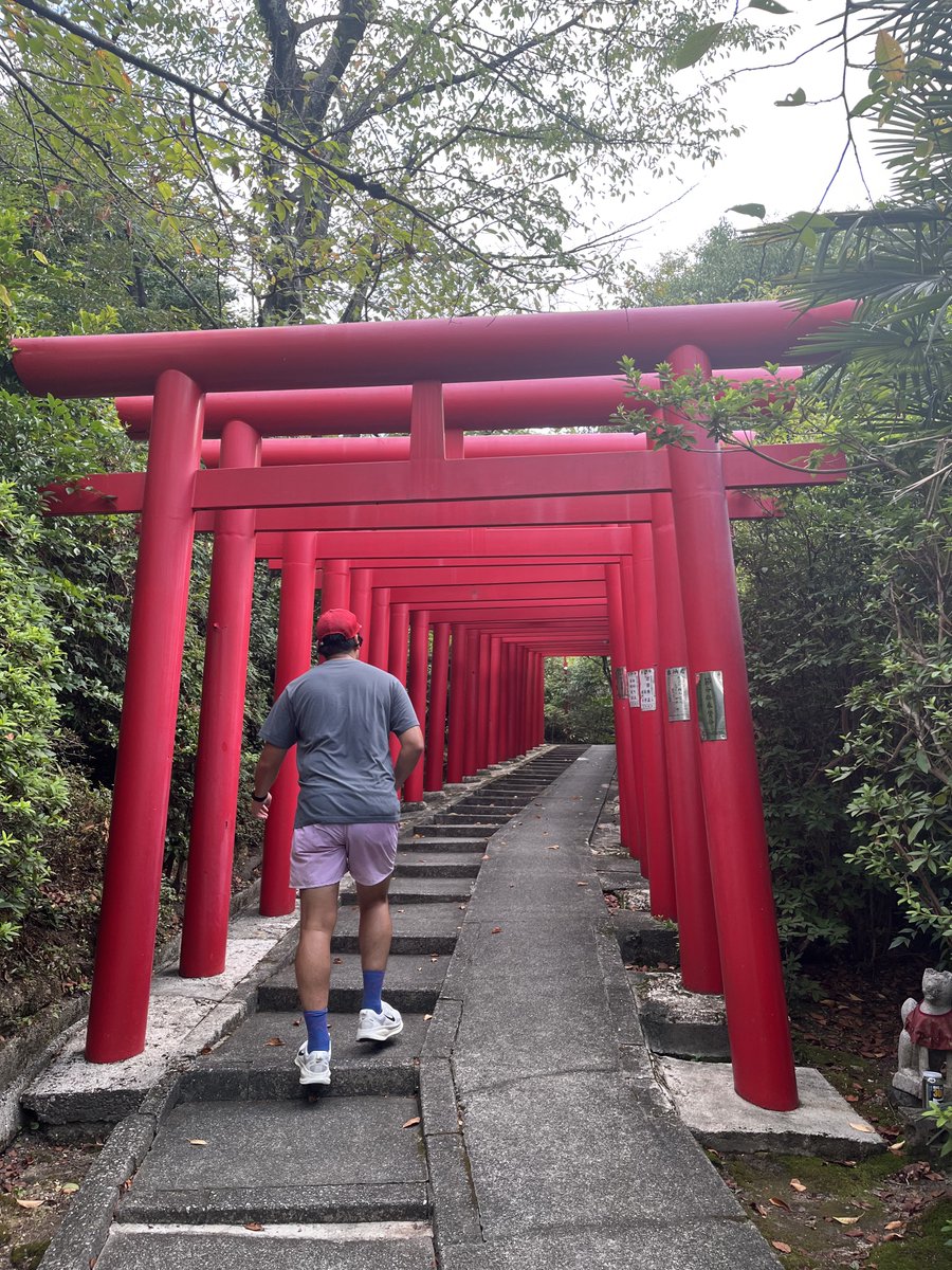 妻と朝の20km走🏃🏃‍♀️ 八事山興正寺の静かな雰囲気と名古屋大学周辺の坂のキツさに汗だく。  坂の多い街を走るのは、ゆっくり走でもメリハリがついて🙆🙆‍♀️ 消費カロリーも増加♪  声を掛け合って2人で走る時間はプライスレス！ランナーの朝は走ってこそ✨ #坂道地獄 ...