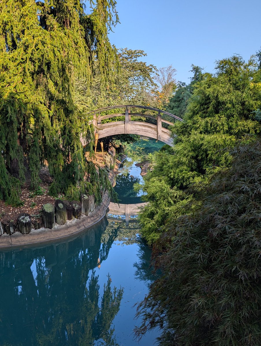 furry_feline's tweet image. Enjoying the Japanese festival in Springfield, Missouri. 

#furryfelinecreatives #springfieldMO