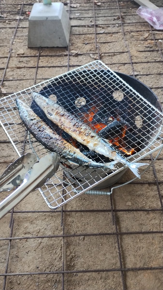 kankitukeinek0's tweet photo. 昼間からサンマ焼いてます https://t.co/6aTBCHFUmt