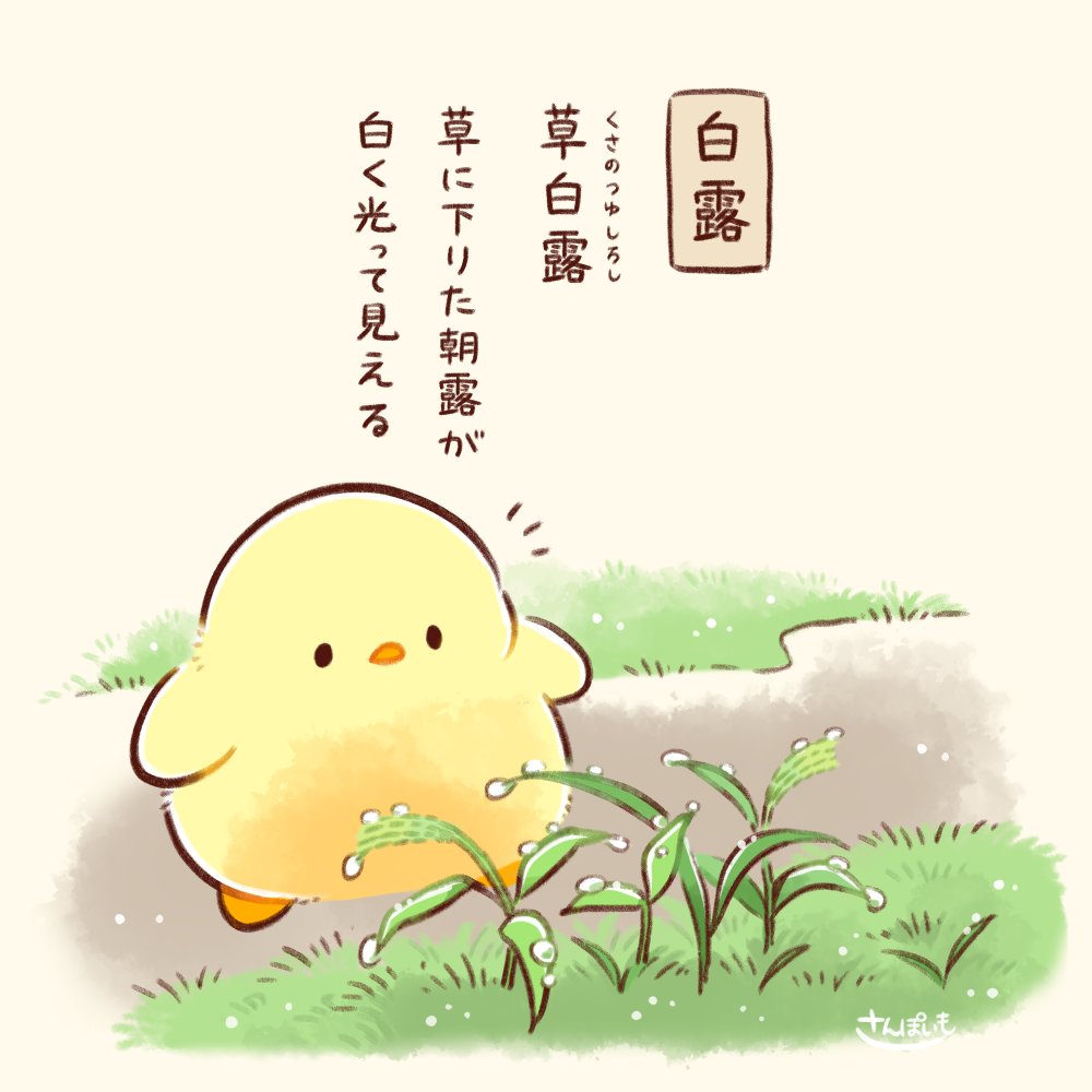 さんぽいも　もふぴよ　ぬいぐるみS 51ei0wJ80cL._UF350,350_QL50_.jpg