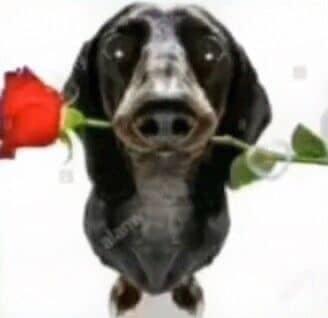 bugun benim dogumbgunum