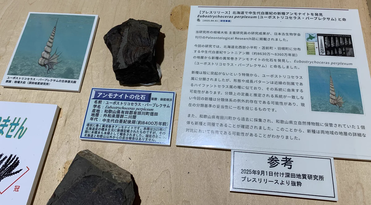 和歌山県立自然博物館 on X: 