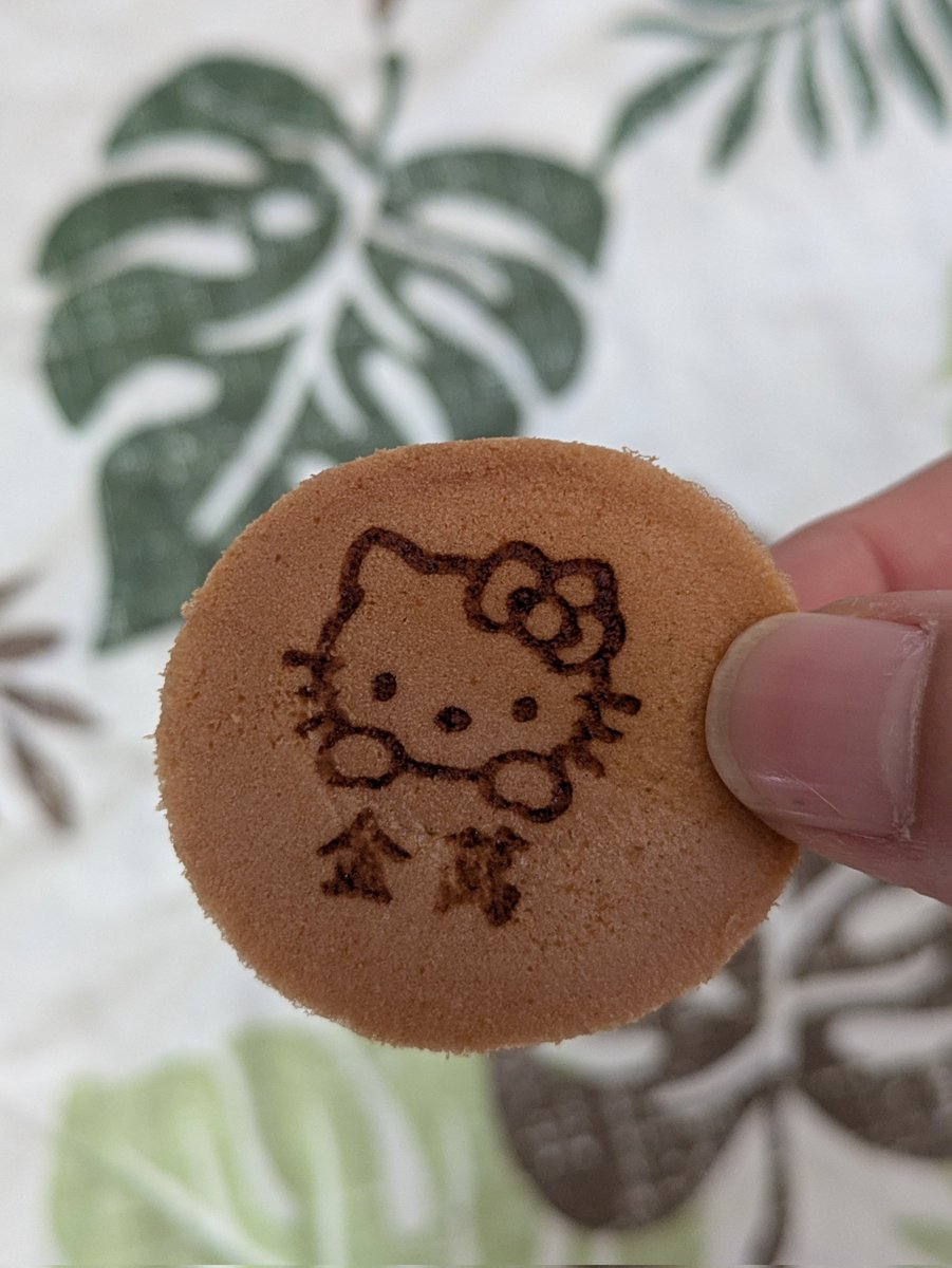お義母さんがお土産買ってきてくれた。

数年ぶりに食べると美味いな。

秋田県民に商品名言わず「28個食べました〜」って言うと『金満』って答えるぞ。

#秋田県民
#金満