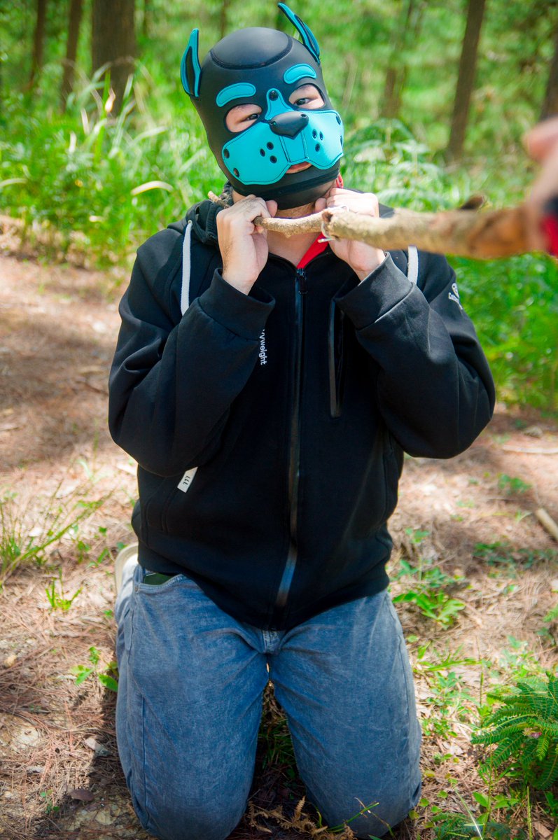 Cách bắt 1 con chó hư 😈