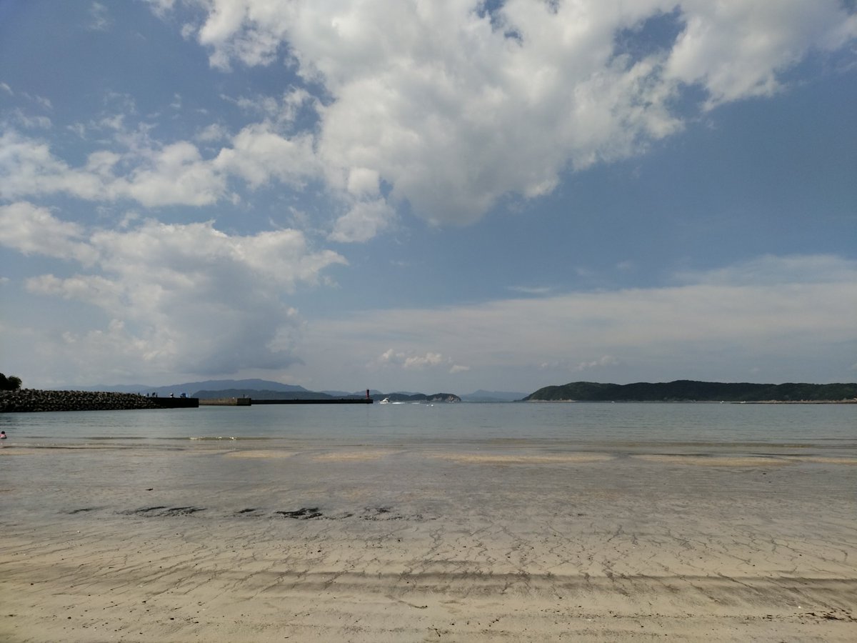 クラゲがまだいません🔥