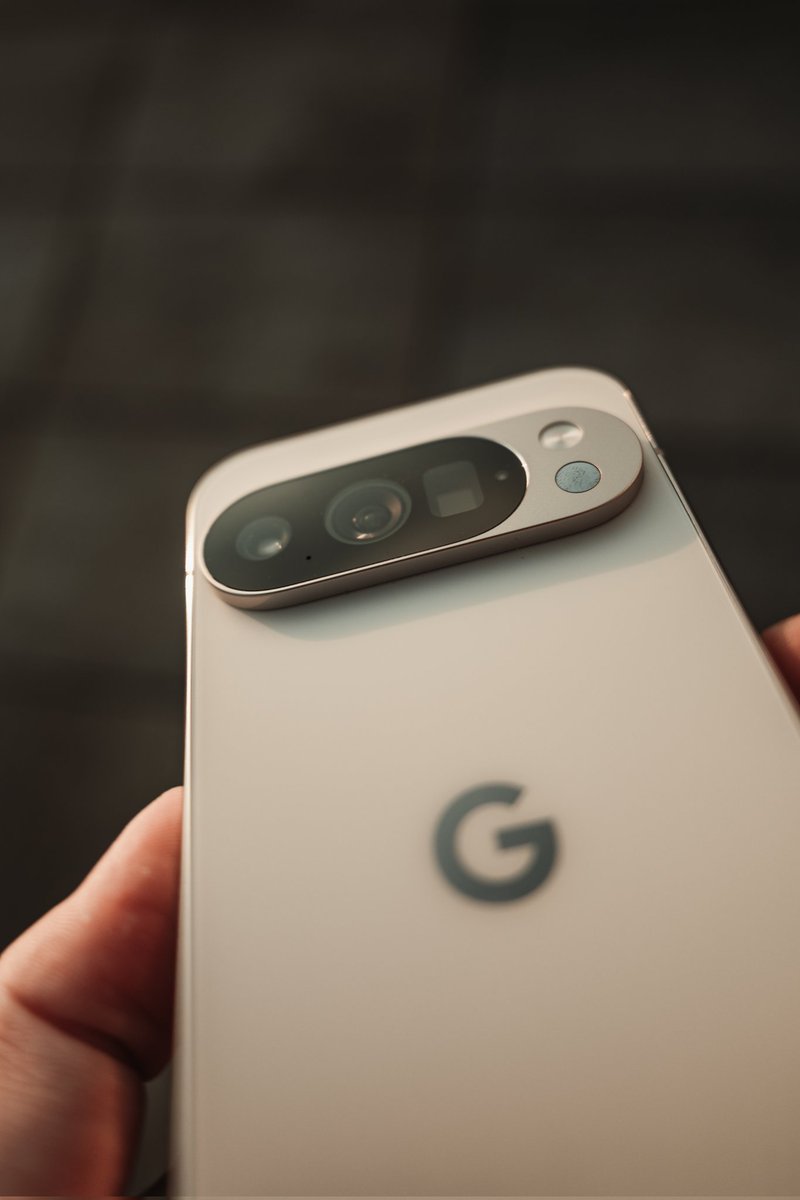 Matt Robb tweet media