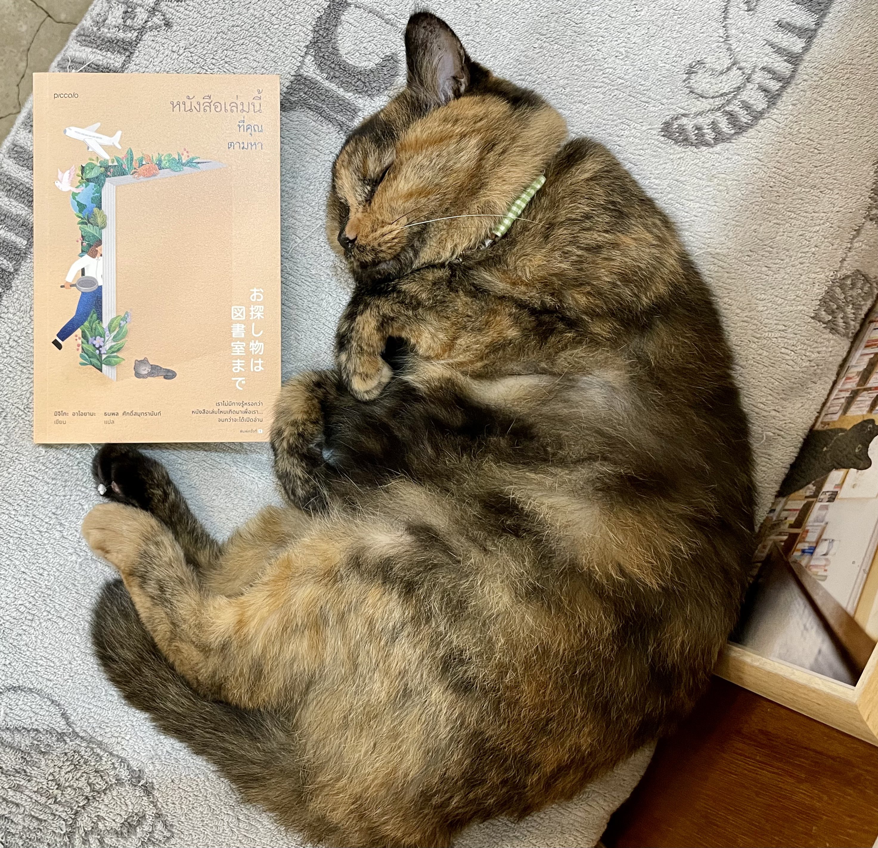 キャッツミャウブックス® (@CatsMeowBooks) / X