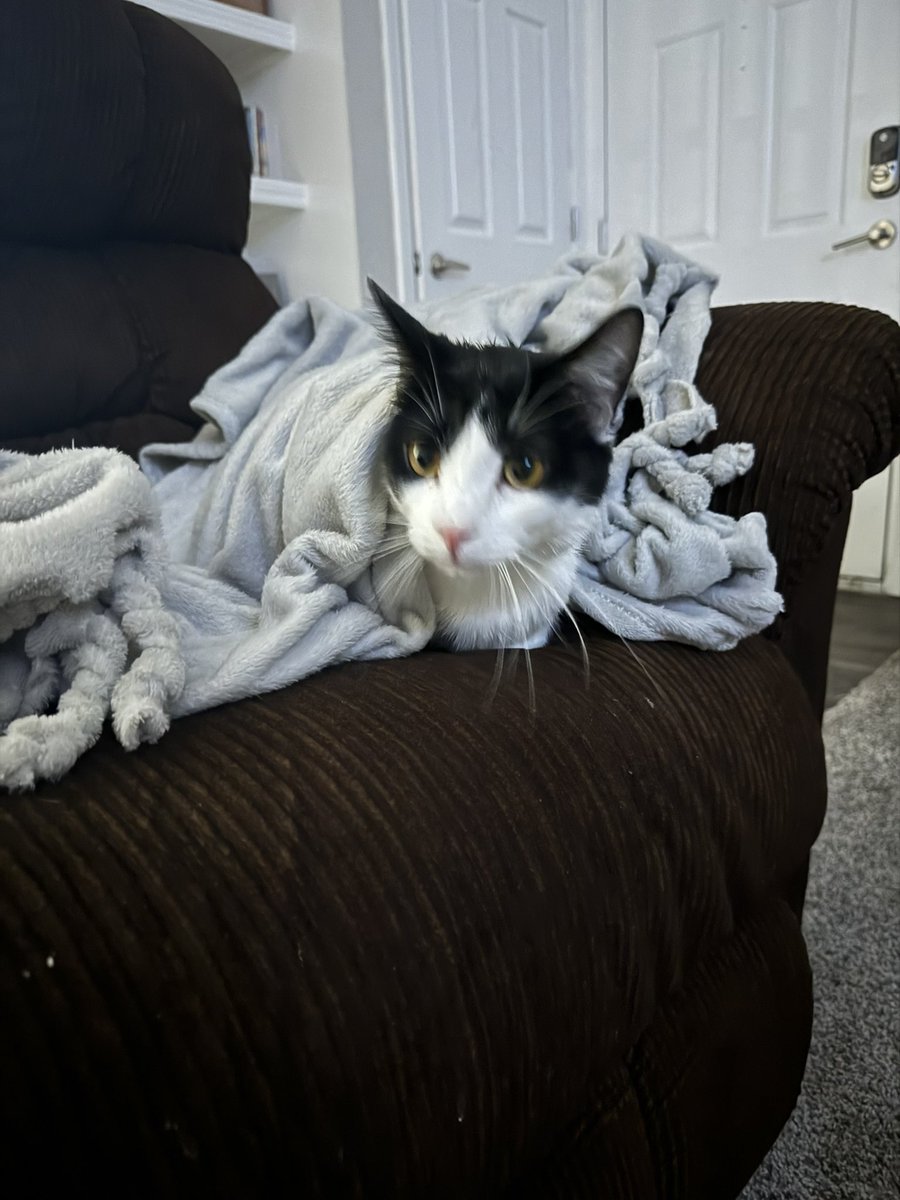 codaaaz's tweet image. Kenny the goat of RL