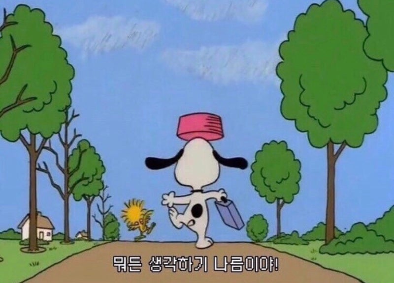 비타민🍓 tweet media