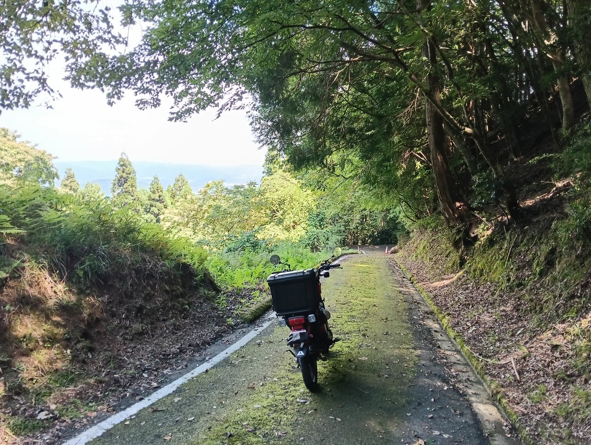 かめはめは oharu on X: 