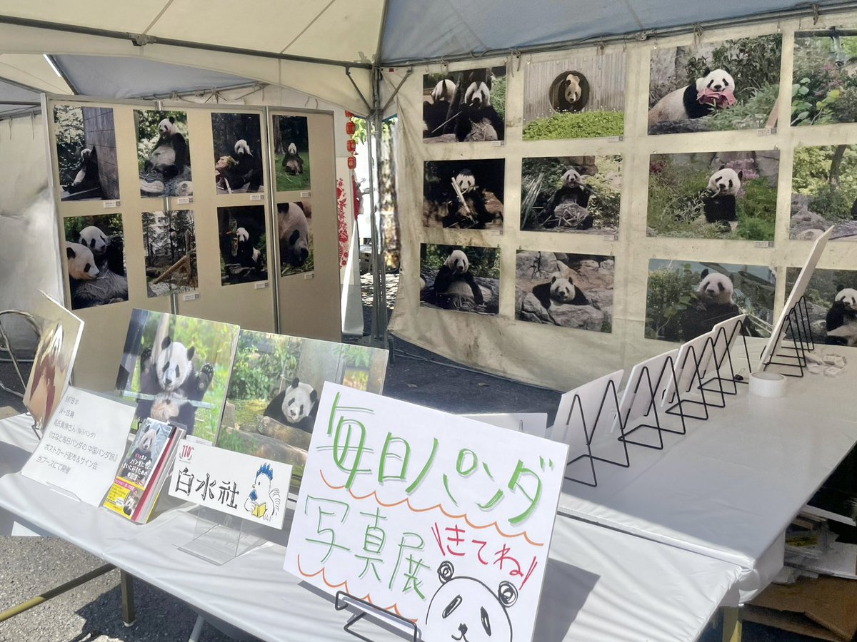 ＼本日最終日❗️／

お隣の白水社＆高氏さんのブースでは、#毎日パンダ ブログでおなじみの高氏貴博さんが撮影した、シャオシャオ、レイレイ、シャンシャン、リーリー、シンシンの写真をお楽しみいただけます🐼📸

#チャイナフェスティバル2025
#チャイフェス <a href="/mainichipanda/">毎日パンダ</a>