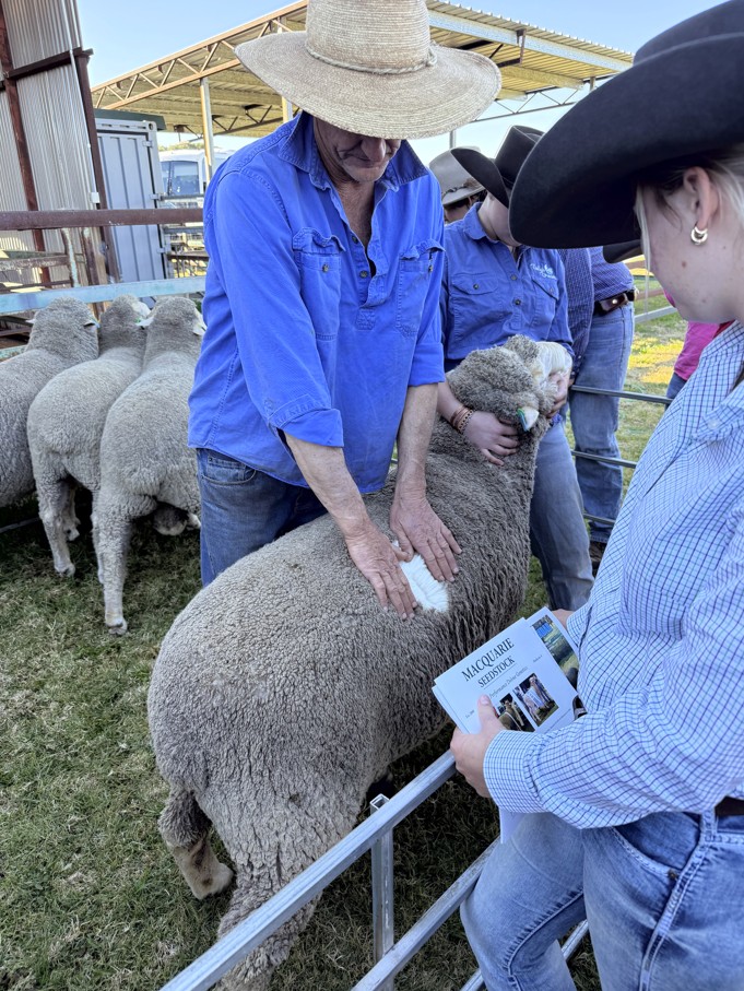 MacquarieDohnes's tweet photo. A great afternoon at Macquarie recently hosting 23 Tocal Agricultural College Students along with 3 staff members. An inspiring group of future Ag leaders. Part of the Tocal Ag curriculum is well run Dohne flock.
#Dohnes #DohneMerino #AWI #MLA #networking #sheep #MacDohnes https://t.co/yCxtm29OE0