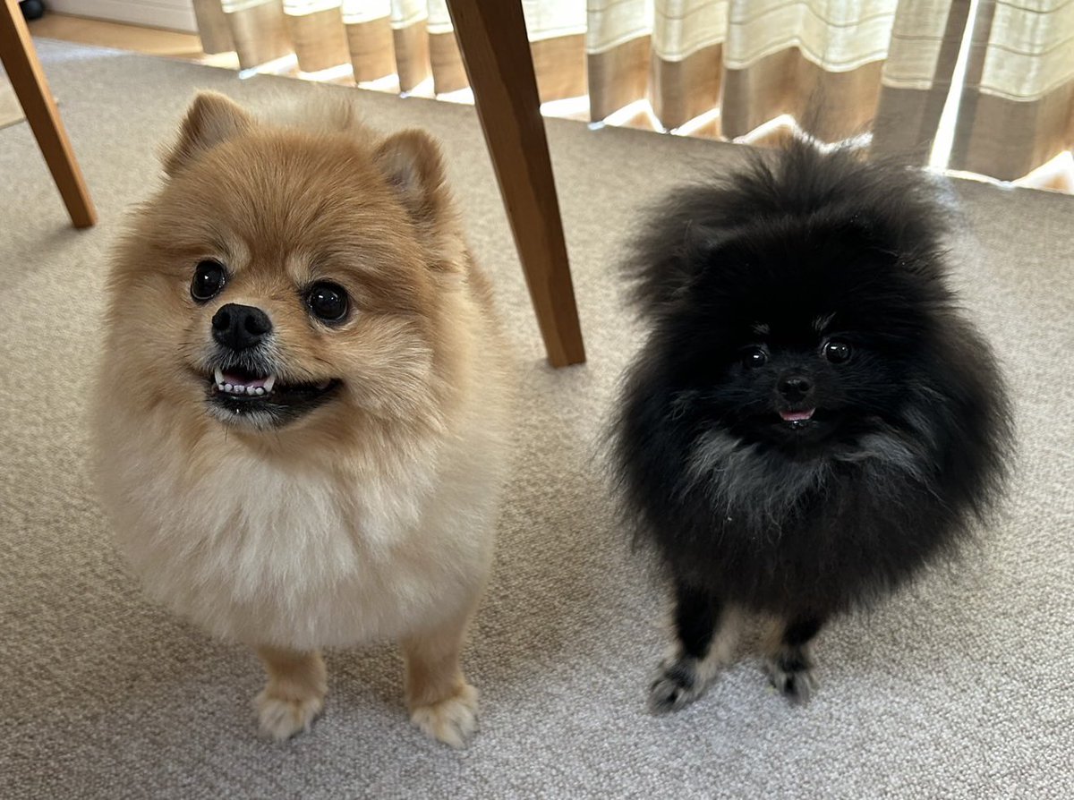 え！もう焼き芋の季節！？