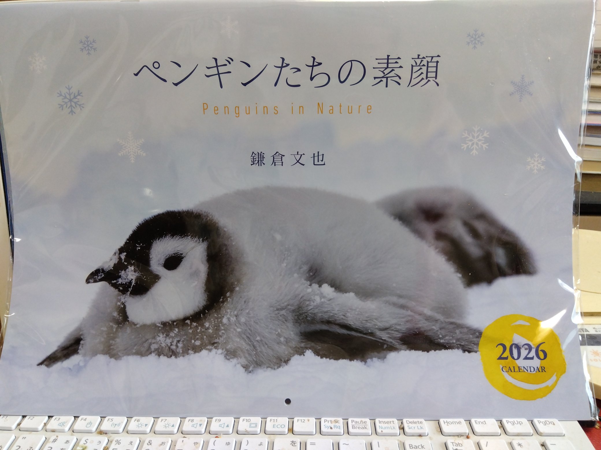 ペンギン賞品① フィギュア ふちやすみ ペンギン 1個入 8個セット まとめ売り