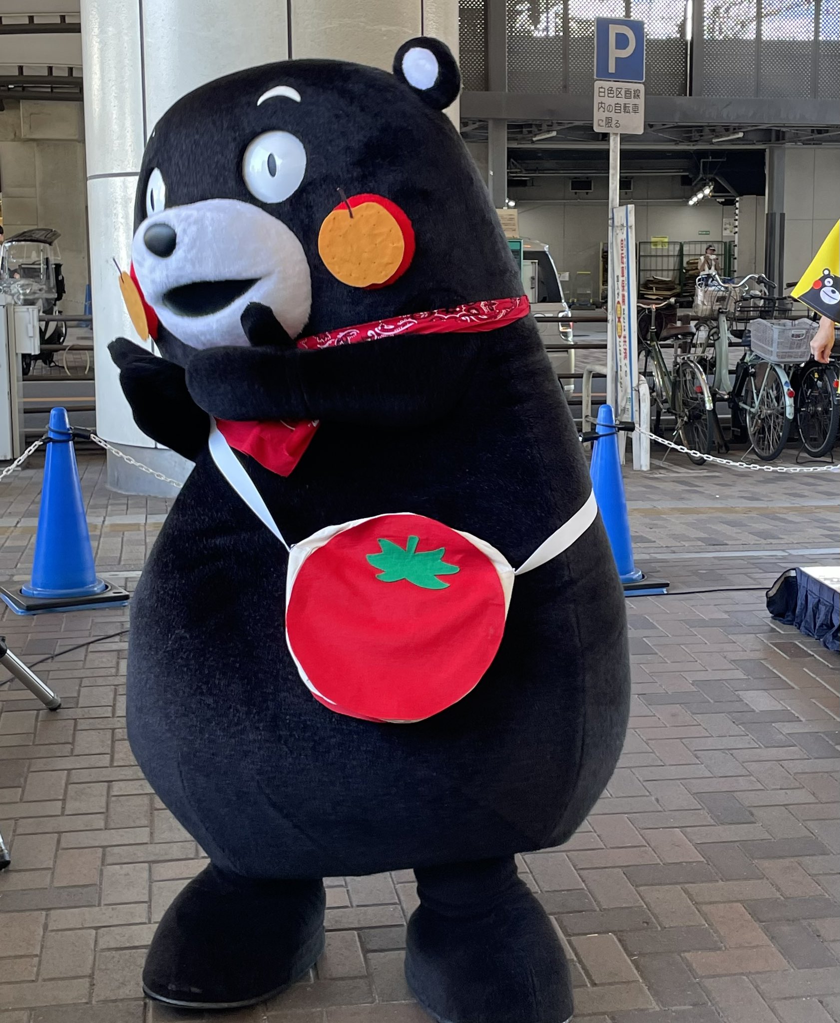 くまモンになりました キャタップ SB くまモン×IBUKI くまモンモデル(くまモン