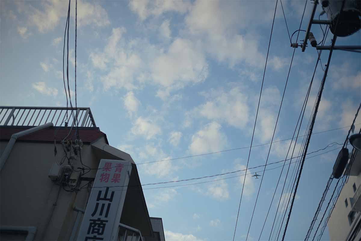カメラ好き 試し撮り初日。なるほど、これがNikon Zfか。｜記憶カメラ