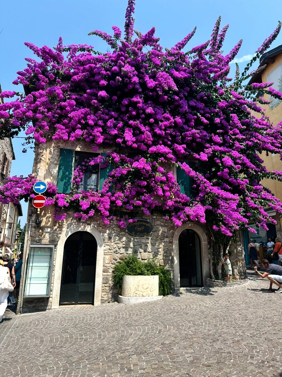 Cindy Lamothe tweet media