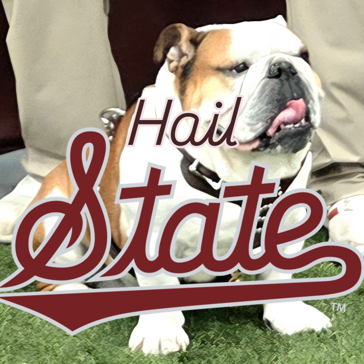 Hawk1_msu's tweet image. So proud of my Bulldogs!