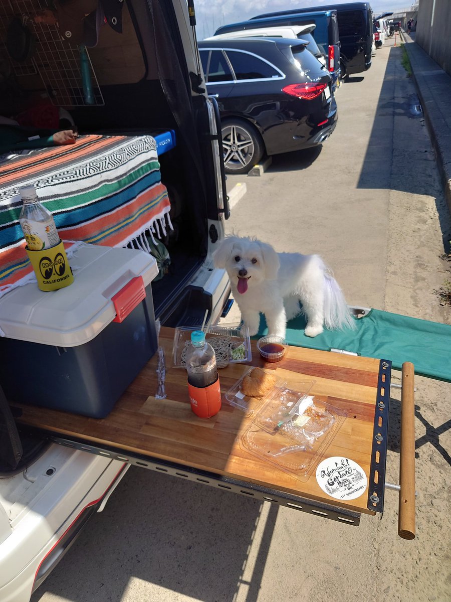 江の島でお昼ご飯にする！
