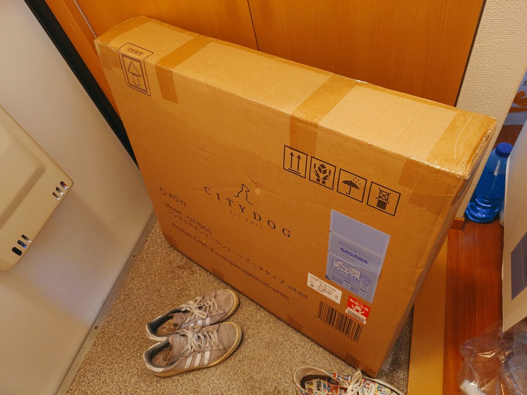 maruchan489's tweet photo. 肩乗りわんこ
こうして今日も
部屋の片付けが進まない
お留守番中もう少し
広々過ごせるように
サークル買ったから
模様替えしようと思ってるのに
#ヨークシャーテリア
#犬のいる暮らし
#CITYDOG https://t.co/wf4fAwK3Ry