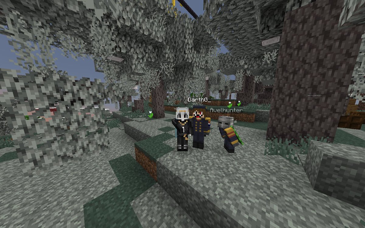 Stephanokska tweet media