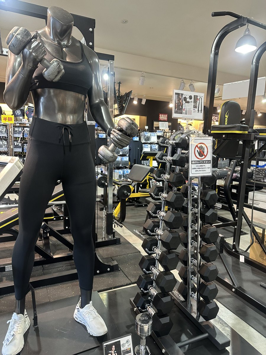 BODYMAKER　ホームジム　大阪近郊・引取できる方限定 自宅まで取りに来れる方限定】ホームジムDX ボディメーカー