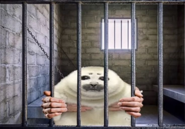 F. Frenzy | N1 Nagisa Fan 🇹🇷 tweet media