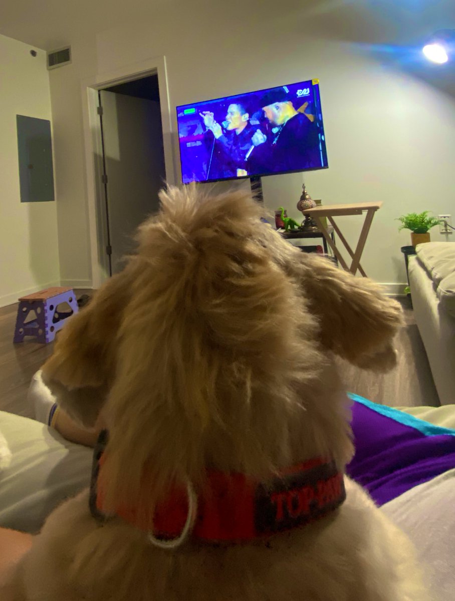 Adrss58's tweet image. La Mushu es gringa pero cantó la de Latinoamérica 🙂‍↔️
@Residente