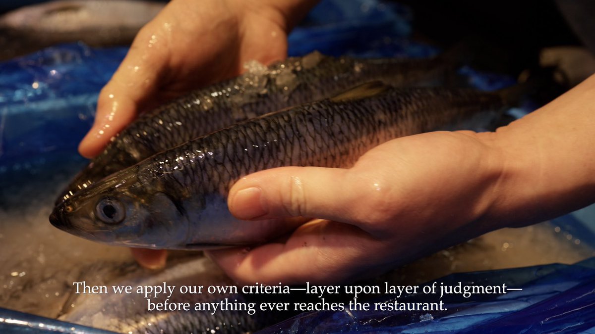 豊洲市場の買い付け動画を撮影しました🎥
EOS R6 Mark II + RF35mm F1.8 MACRO IS STM + DJI RONIN RS 4
※豊洲市場撮影許可取得済み