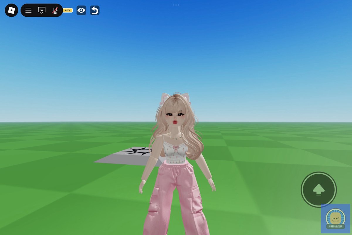 Roblox Fess tweet media