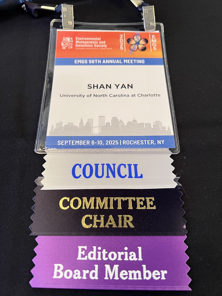 Shan Yan tweet media