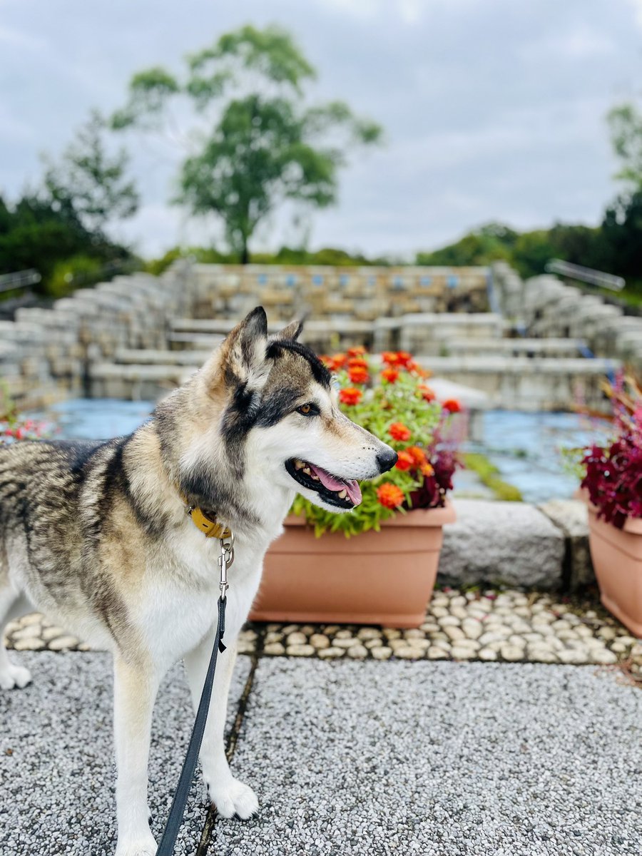 天気は悪いが出発。いつもの休憩。