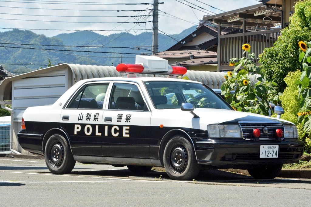 Riki205 (@yp430sed) on X: 