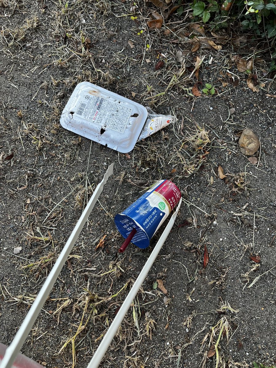 今日、ちいかわとゴミ拾いしました。