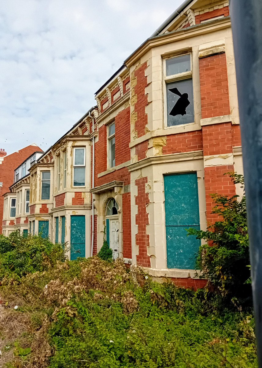 Caroline Caz Powell. tweet media