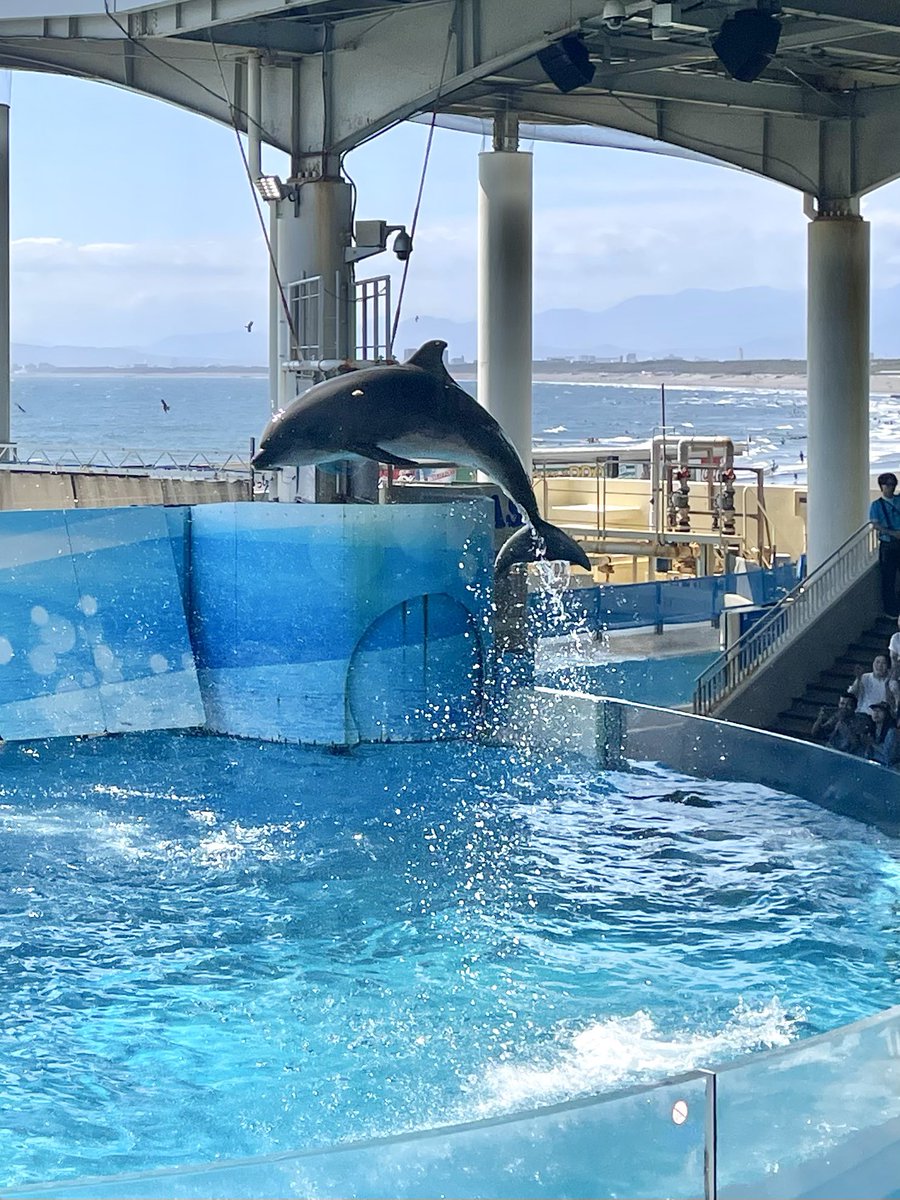 えのすい
ビーナちゃんのスタンプ台紙 
欲しくて行ったけどリベンジ失敗
でも今日は近くに来てくれたし
チャーム貰えたので良し