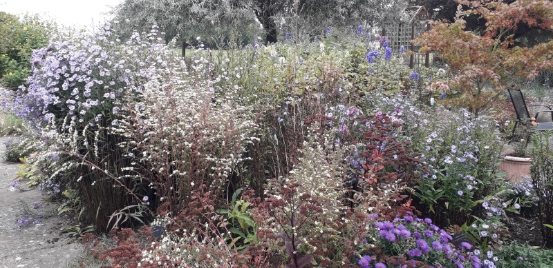 Ravelin
Gilberts End, Hanley Castle, Worcestershire, WR8 0AS
September 13th-14th Opening times
13:00 - 17:00   Refreshments
Cream teas.
findagarden.ngs.org.uk/garden/37105/r…