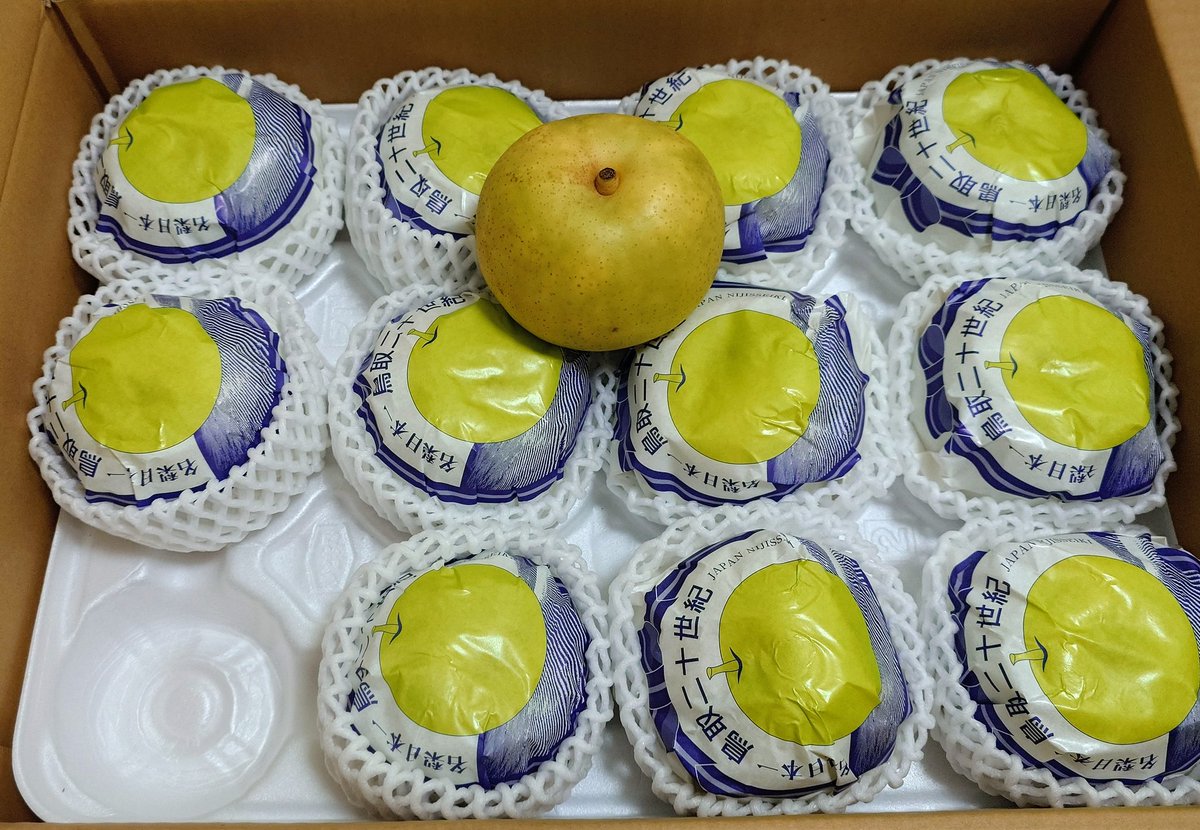 鳥取の二十世紀梨🍐
今年も実家から届きました。

#二十世紀梨 #鳥取