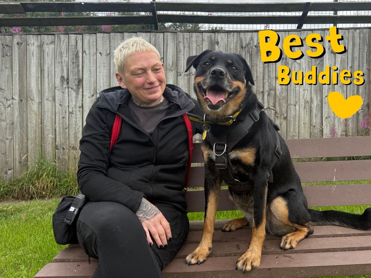 DT_WestCalder's tweet image. Sundays are best when spent when your buddies💛🐾🥰

Add Twiglet to your favourites today👉 bitly.cx/25OF

@dogstrust
#dogstrust
#adoptdontshop
#adogisforlife
