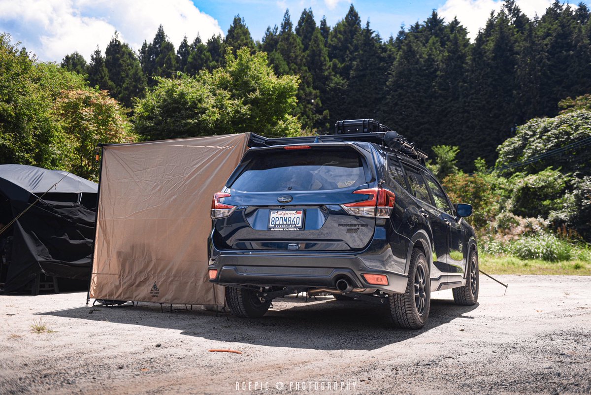 山の上は涼しくてえい
下界と温度差10℃は草