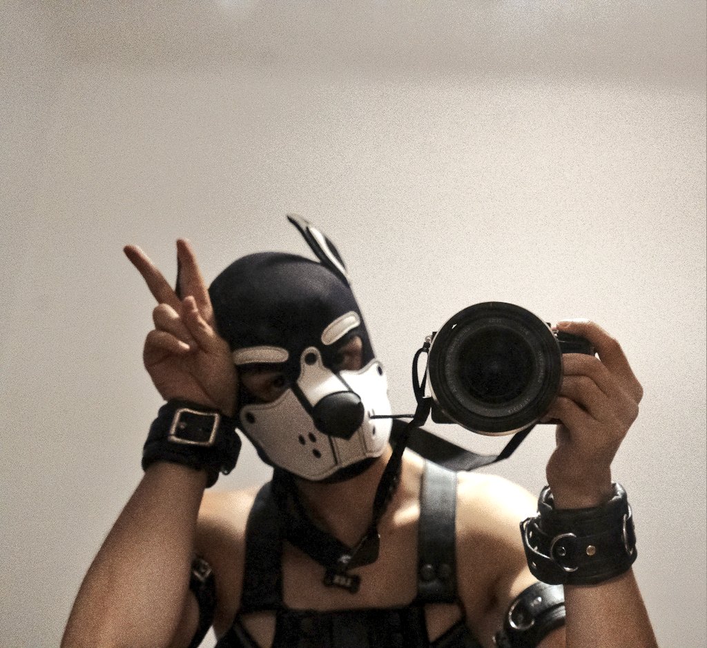 Lux (@twinkpuppyboy) on Twitter photo 