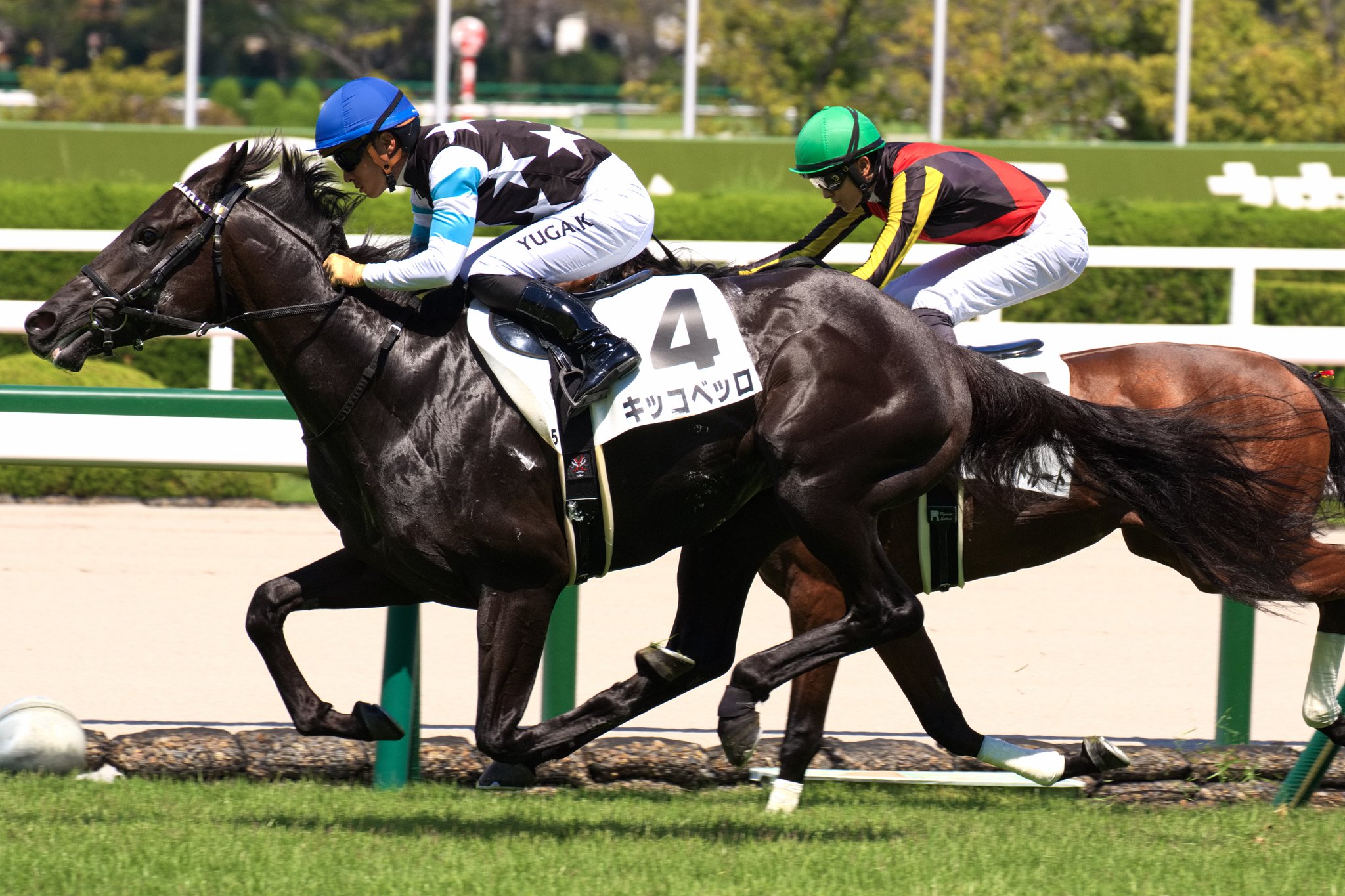 全競馬場出目V作戦 2001～2002 全競馬場出目V作戦 2001～2002 全競馬場出目V作戦 2001～2002 本