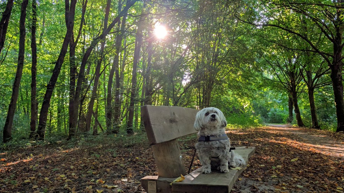 De start van een tropische zondag. #goedemorgen 🌤