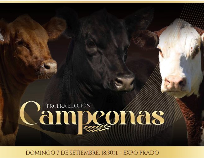 #HOY domingo 07, Centro Genético El Ceibo invita al CAMPEONAS en la Rural del Prado. Remantan Zambrano &amp; Cía y Escritorio Juan Francisco Chiruchi.