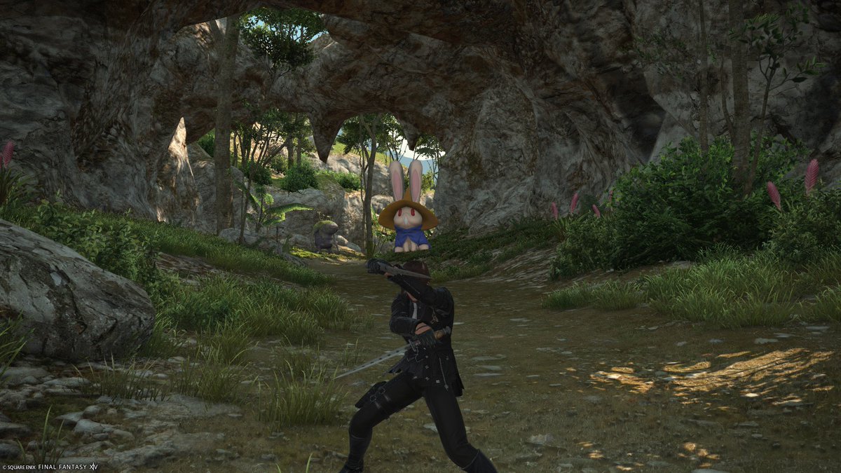 ウサギ出せるようになった
出してはいけないウサギ